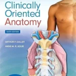 Moore's Clinically Oriented Anatomy 9th Edition