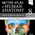 Netter Atlas of Human Anatomy: Classic Regional Approach